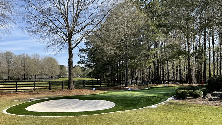 Artificial turf putting green by Southern Greens in a Knoxville garden, blending golfing luxury with home landscaping.